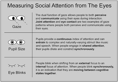 Interpersonal eye-tracking reveals the dynamics of interacting minds